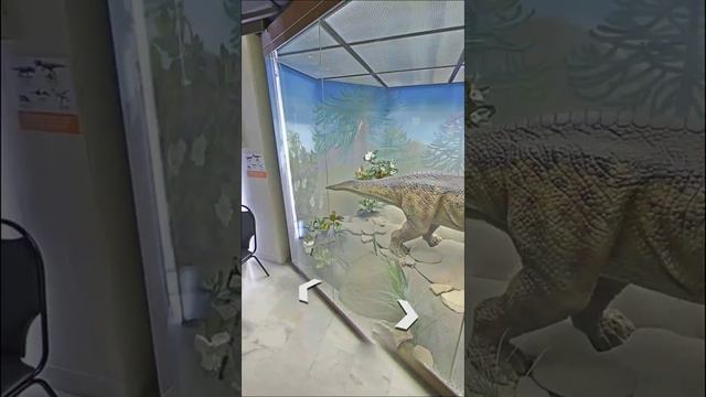 Я в Дарвиновском музее - Москва, Россия. Музей чучел и происхождение человека. смотреть онлайн