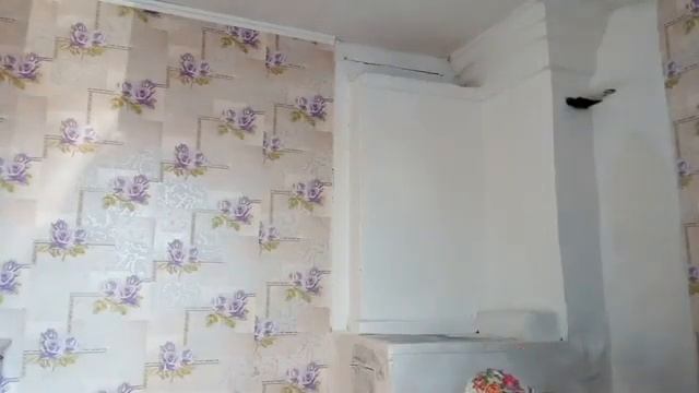 ДИСТАНЦИОННОЕ ОБУЧЕНИЕ! Покупка семян,побелка печки!!! смотреть онлайн