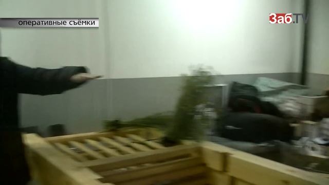 Время Ч: Время расплаты смотреть онлайн