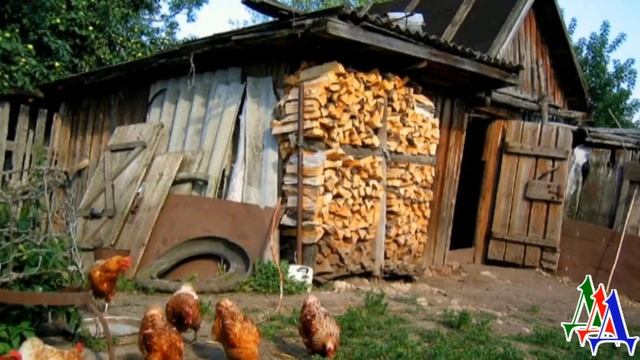 Отчим СХВАТИЛ мою любимую СОБАКУ за шкирку и ПНУЛ ногой, как мячик, в сторону двери… смотреть онлайн