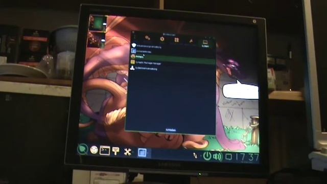 WEREWIN BodHi Ubuntu смотреть онлайн