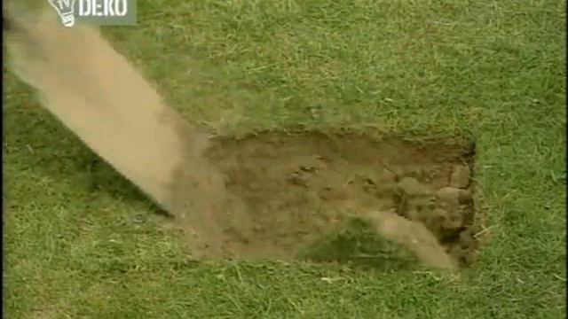 Ticho,už to roste 46 Postřik, akanty, trávník, begónie смотреть онлайн