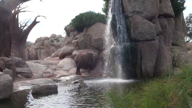 Valencia Safari Park (Сафари парк в Валенсии)