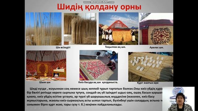 Амиралиева НО Көрем еңбек 5 сынып "Бұйым өру" смотреть онлайн