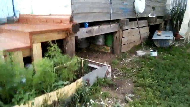 двор стал больше смотреть онлайн
