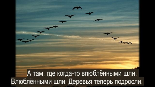 Социальный