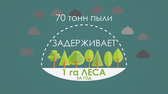 Экологическая акция - Посади свое дерево смотреть онлайн