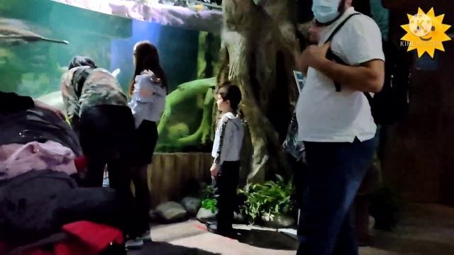 Сити Парк ,, Град ,, Аттракционы смотреть онлайн