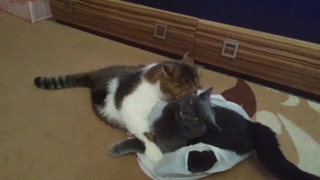 Заложница смотреть онлайн