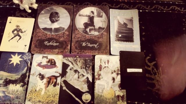 WHAT MAKES YOU UNIQUE? | PICK A CAT READING| TIMELESS ORACLE CARD READING смотреть онлайн