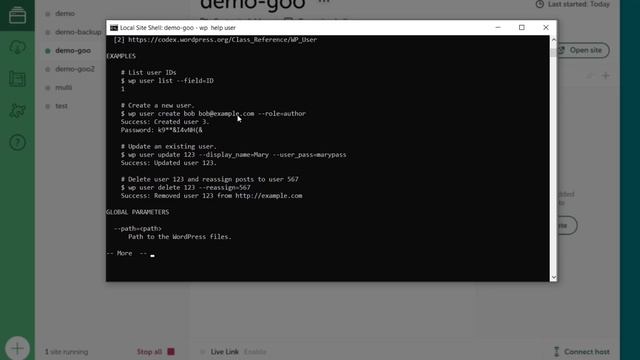 LOCAL и WP CLI Как работать в консоли с WordPress? смотреть онлайн