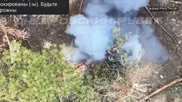 Боец ВСУ решил пострелять по птичкам смотреть онлайн