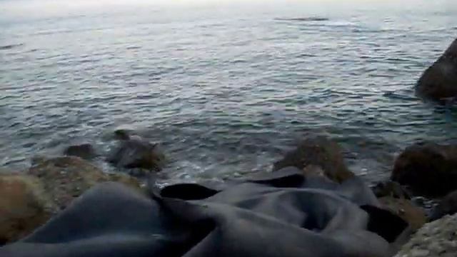 Кит в Чёрном море смотреть онлайн