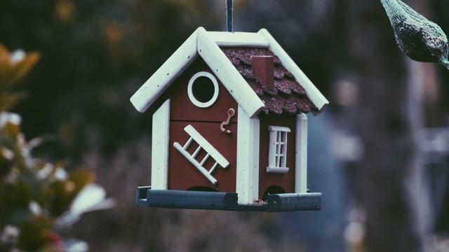 Одноклассники измывались над особенным мальчиком, а спустя время целовали землю под его ногами смотреть онлайн