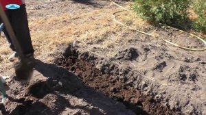 Малина. Правильная подготовка траншеи для посадки.