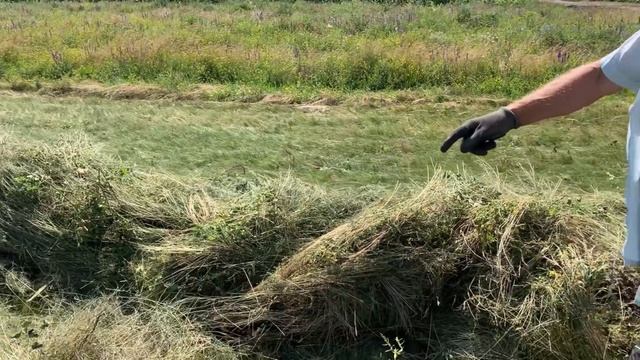 Комбайн для сінокоса Fortschritt Е-303 Косілка, ворушилка. смотреть онлайн