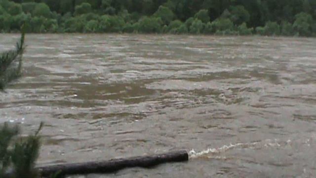 наводнение# потоп# выживание# смотреть онлайн