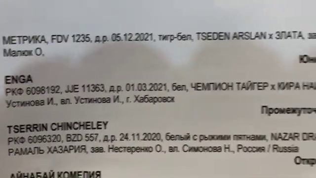 МОНО САО. Хабаровск. 1 мая 22 г. смотреть онлайн