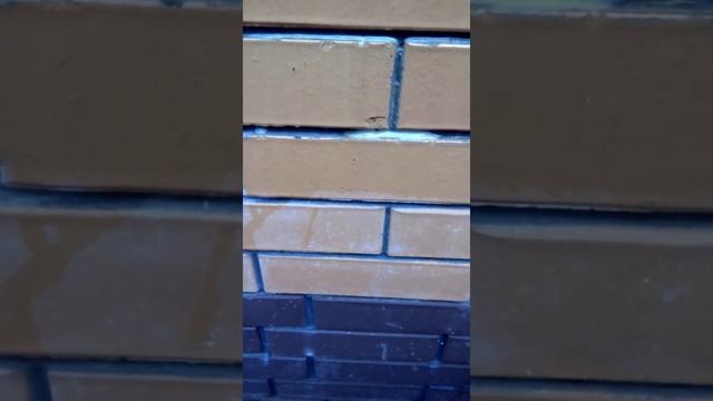 Удаление бетона из фасада!) смотреть онлайн