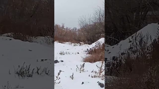 Астана дача. 2 смотреть онлайн