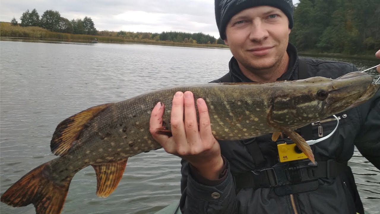 Чуть не сломала спиннинг. Рыбалка на щуку осень 2017