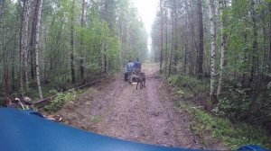 Металлокоп за Уралом. Туманный лес. 400 кг. металла. Рекорд канала.