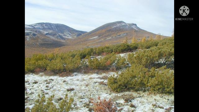 Kolyma. Колыма.