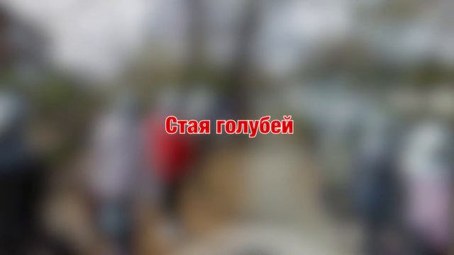 Необычные места на Google Maps смотреть онлайн