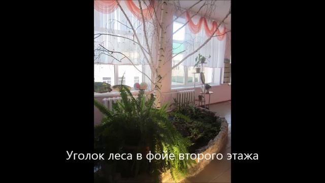 Школьное лесничество "Березка" смотреть онлайн