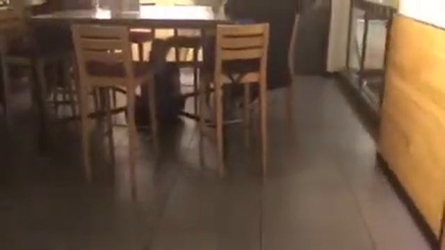 Find Annabelle Reay! смотреть онлайн