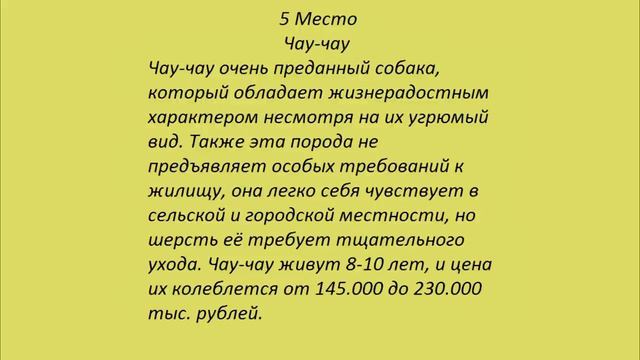 Топ 10 Самых Дорогих Собак в мире смотреть онлайн