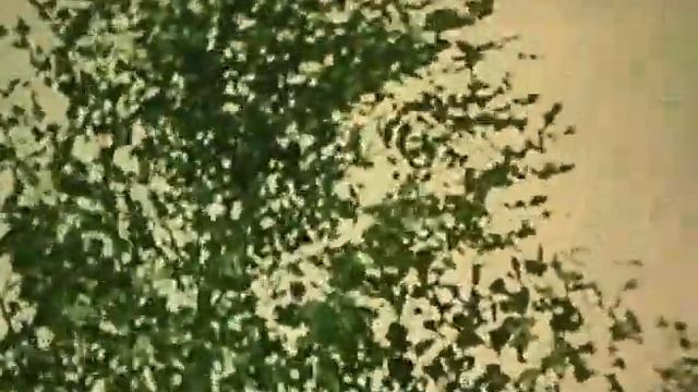 Орша героическая, 60 лет залпа батареи Флерова смотреть онлайн