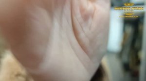 ? Стильно и модно!? Новый БОМБЕР из СТАРОЙ ШУБЫ ??? Mexatele. Меховое Ателье Днепр.
