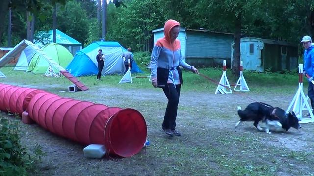 Крылова Анна соревнования по аджилити 12.07.15 смотреть онлайн