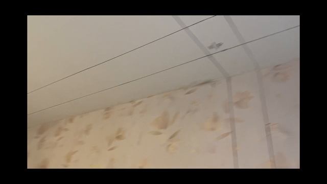 Панельная «Трёшка» - Подготовка К Замене Электропроводки. смотреть онлайн