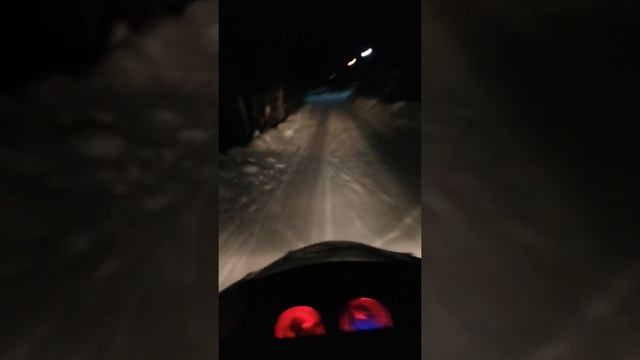 Кинг хаски смотреть онлайн