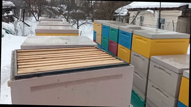 27 февраля 2024 г. смотреть онлайн