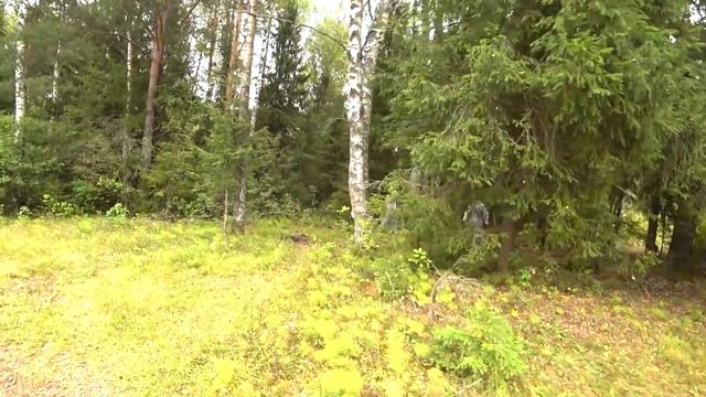ЗА ГРИБАМИ ВСЕЙ БРИГАДОЙ В МЕДИЦИНСКИХ КОСТЮМАХ / ЖАРИМ В ЛЕСУ КАРТОШКУ С ГРИБАМИ смотреть онлайн