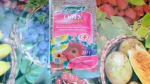 ОМУ Цветик. Для комнатных растений и не только.