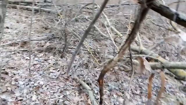 Крещенская проверка капканов и удачно и неочень смотреть онлайн