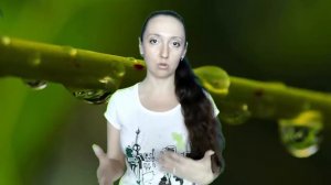 Аир болотный. Корень аира - лечебные свойства.