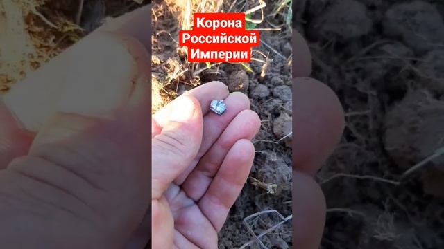 Корона Российской Империи серебряная  канал на Дзене #Дядькасбородой