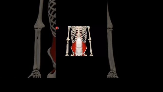 Фитнес для силы