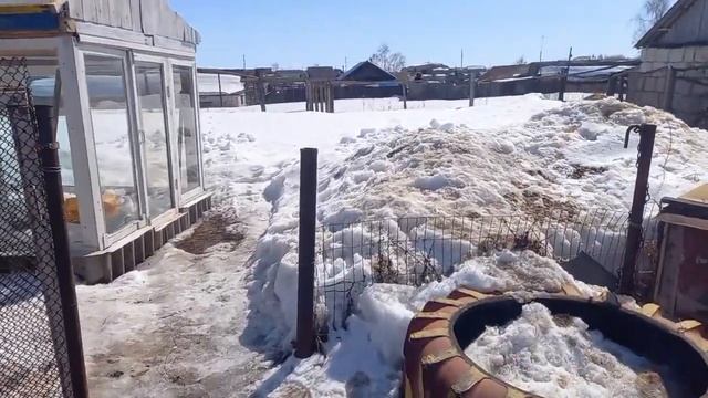 ВОТ И ВЕСНА/ Чем обрабатываем теплицу весной от вредителей и болезней смотреть онлайн