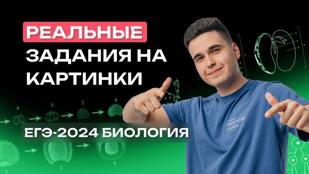 Картинки с РЕАЛЬНОГО ЕГЭ | Решаем линии 6, 10, 14 | ЕГЭ-2024 Биологии | NeoFamily смотреть онлайн