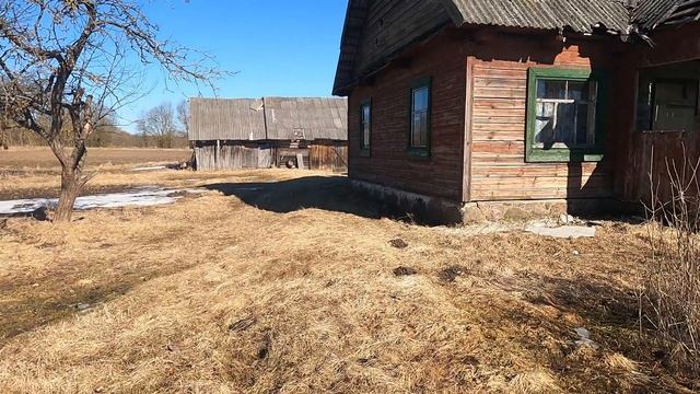 Купить хутор за 1000$. Какие дома продаются в белорусской деревне. Хутор с мухами.