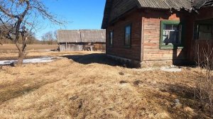 Купить хутор за 1000$. Какие дома продаются в белорусской деревне. Хутор с мухами.