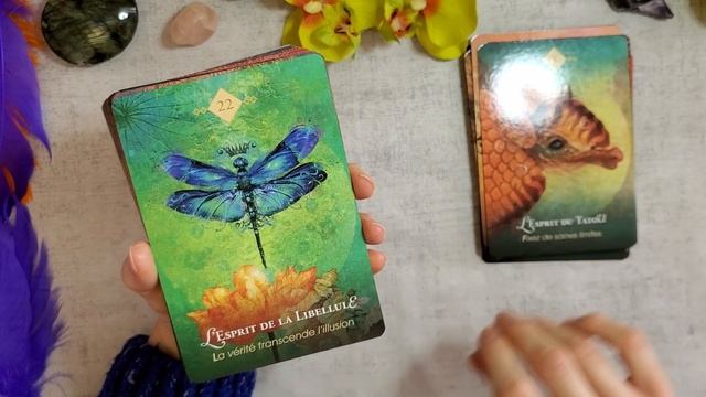 ORACLE DE L'ESPRIT ANIMAL Présentation + 1 carte au choix смотреть онлайн