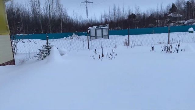 Зимний пейзаж на даче 16.01.2023г. смотреть онлайн
