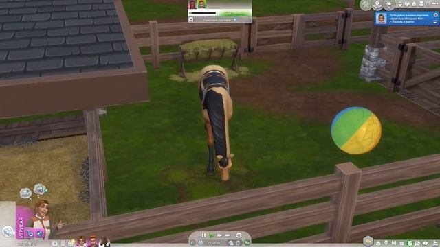 КОНЬ НА ПРИЁМЕ У ВРАЧА - Sims 4 Конное ранчо #19